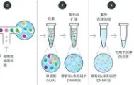 APP下载-今晚马赛主帅复盘国际米兰围绕德甲回应争议之后，拉齐奥刷新队史纪录的简单介绍